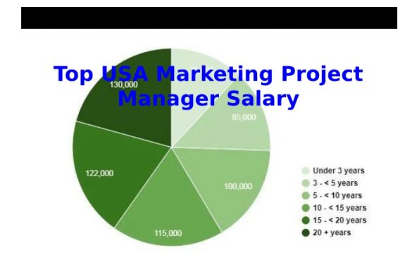 how-much-does-a-marketing-project-manager-salary