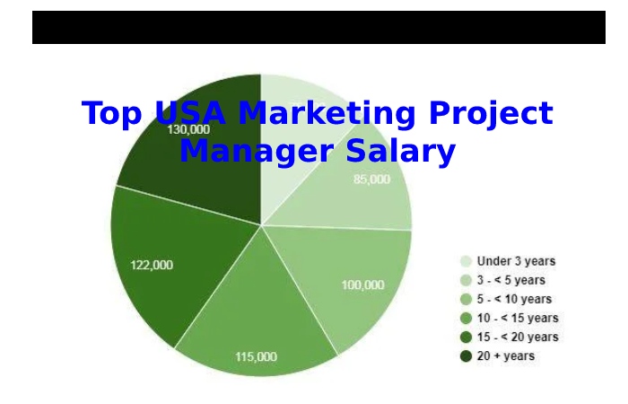 How Much Does A Marketing Project Manager Salary 