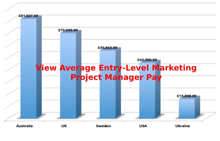 How Much Does A Marketing Project Manager Salary 