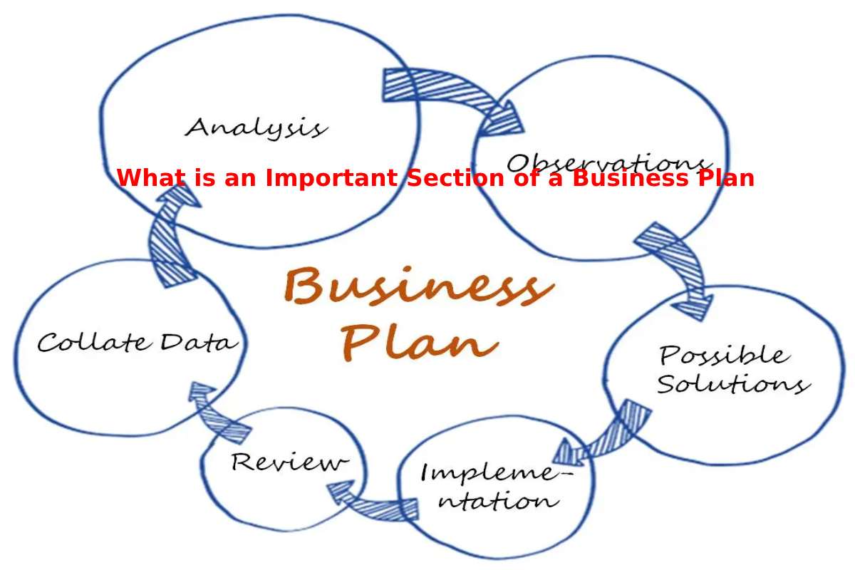 what-is-an-important-section-of-a-business-plan