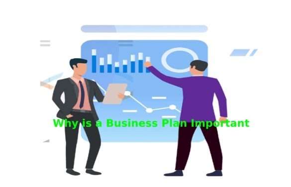 3.1 why a business plan is important true or false